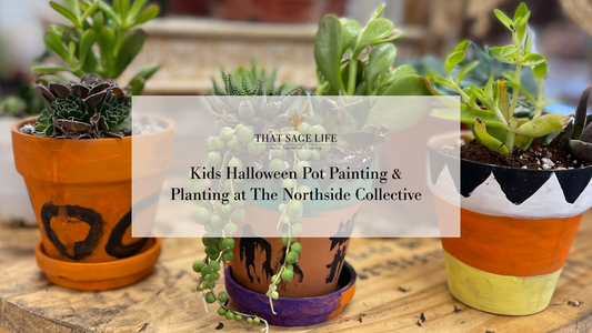 🎃 Kids Halloween Pot Painting & Planting at The Northside Collective
