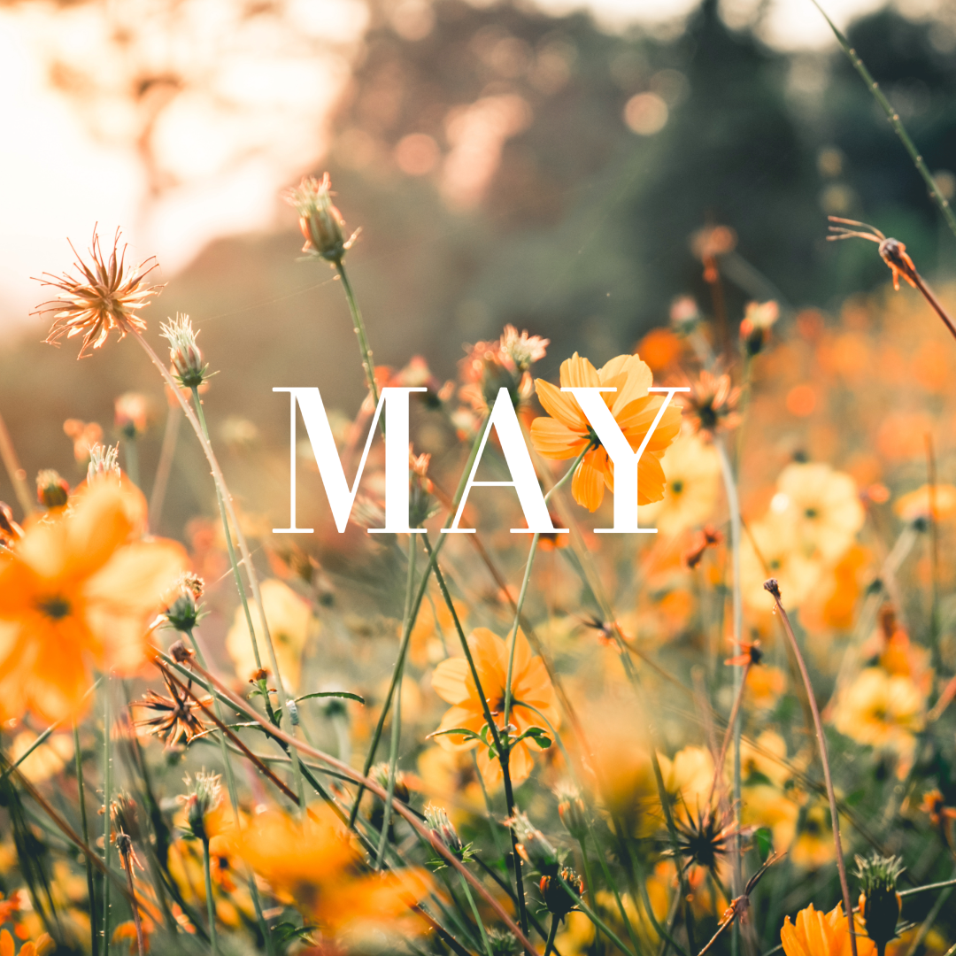 Plant BINGO at The Wild Grove Collective