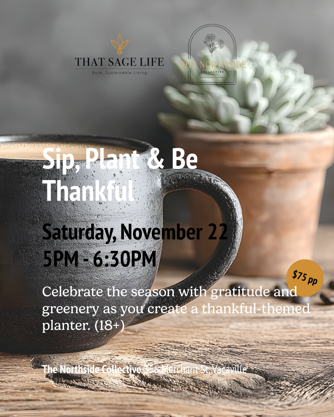 November Workshops at The Northside Collective