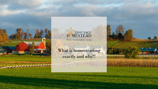 That Sage Homestead: What exactly is Homesteading and why?!