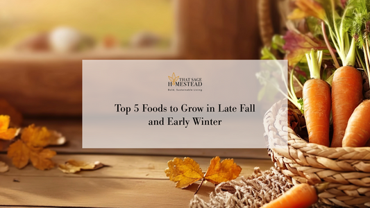 Top 5 Foods to Grow in Late Fall and Early Winter