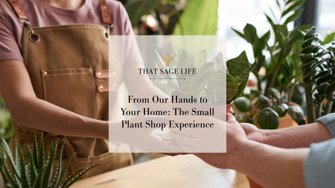 From Our Hands to Your Home: The Small Plant Shop Experience