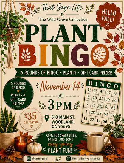 Plant BINGO at The Wild Grove Collective