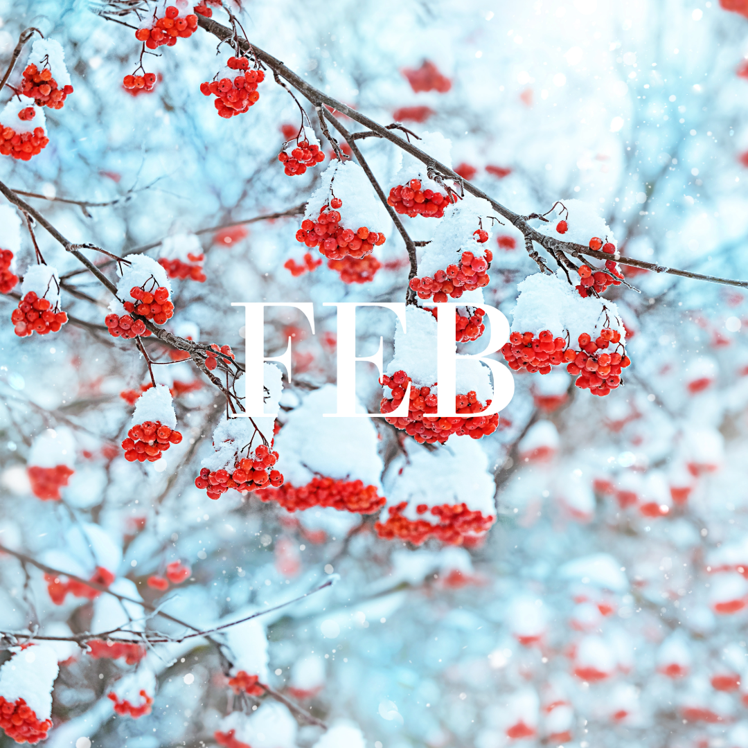 Plant BINGO at The Wild Grove Collective