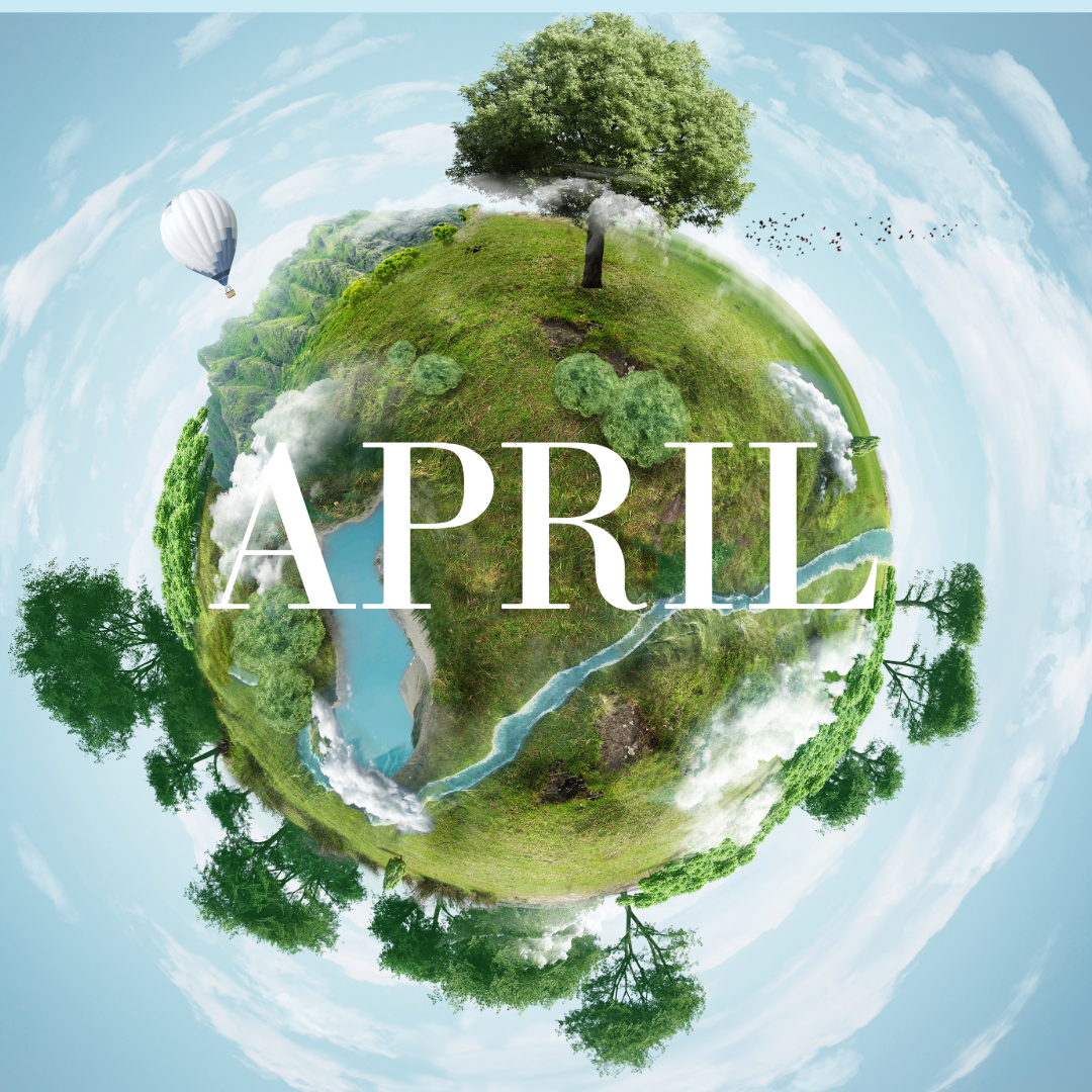 Plant BINGO at The Wild Grove Collective