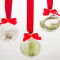 Holiday Ornament Globes with Air Plants
